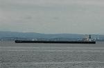 Dcim6141/DSC_4618
