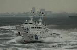 Dcim6144/DSC_5061