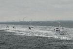 Dcim6151/DSC_1558
