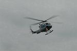 Dcim6152/DSC_1595