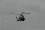 Dcim6152/DSC_1619