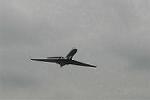 Dcim6153/DSC_1664