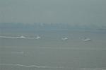 Dcim6160/DSC_5524