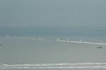 Dcim6161/DSC_5533