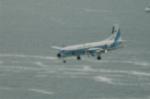 Dcim6163/DSC_5773