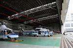 Dcim6164/DSC_5503