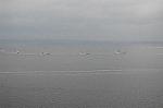 Dcim6168/DSC_5951
