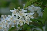Dcim6174/DSC_5919