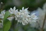 Dcim6174/DSC_5933