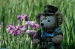 Dcim6176/DSC_6127
