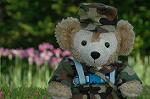 Dcim6176/DSC_6206