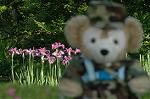 Dcim6176/DSC_6207