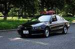 Dcim6177/DSC_6381