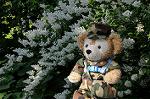 Dcim6177/DSC_6425