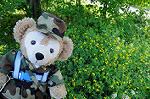 Dcim6177/DSC_6433