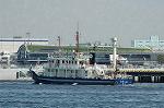 Dcim6178/DSC_6219