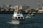 Dcim6178/DSC_6293