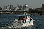 Dcim6178/DSC_6311