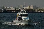 Dcim6178/DSC_6317