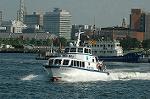 Dcim6179/DSC_6412
