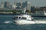 Dcim6179/DSC_6413