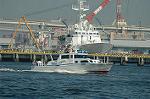 Dcim6179/DSC_6466