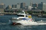 Dcim6179/DSC_6509
