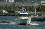 Dcim6180/DSC_6550