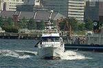Dcim6180/DSC_6552