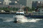 Dcim6180/DSC_6556