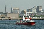 Dcim6180/DSC_6631