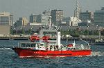 Dcim6180/DSC_6635