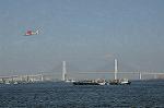 Dcim6181/DSC_6500