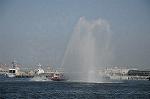 Dcim6181/DSC_6517