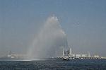 Dcim6181/DSC_6526