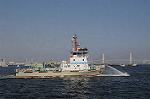 Dcim6181/DSC_6533