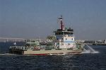 Dcim6181/DSC_6536