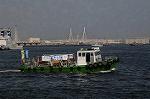 Dcim6181/DSC_6541