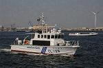 Dcim6181/DSC_6572