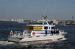 Dcim6181/DSC_6584
