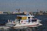 Dcim6181/DSC_6585