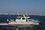 Dcim6181/DSC_6590