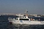 Dcim6182/DSC_6697