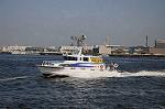 Dcim6182/DSC_6726