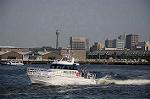 Dcim6183/DSC_6748