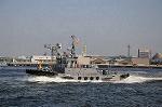 Dcim6183/DSC_6782