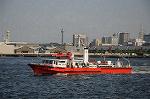 Dcim6183/DSC_6823