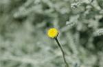 Dcim6185/DSC_6857