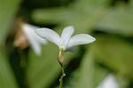 Dcim6185/DSC_6903