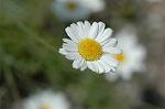 Dcim6186/DSC_6971